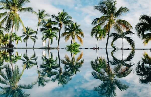 florida rehab centers